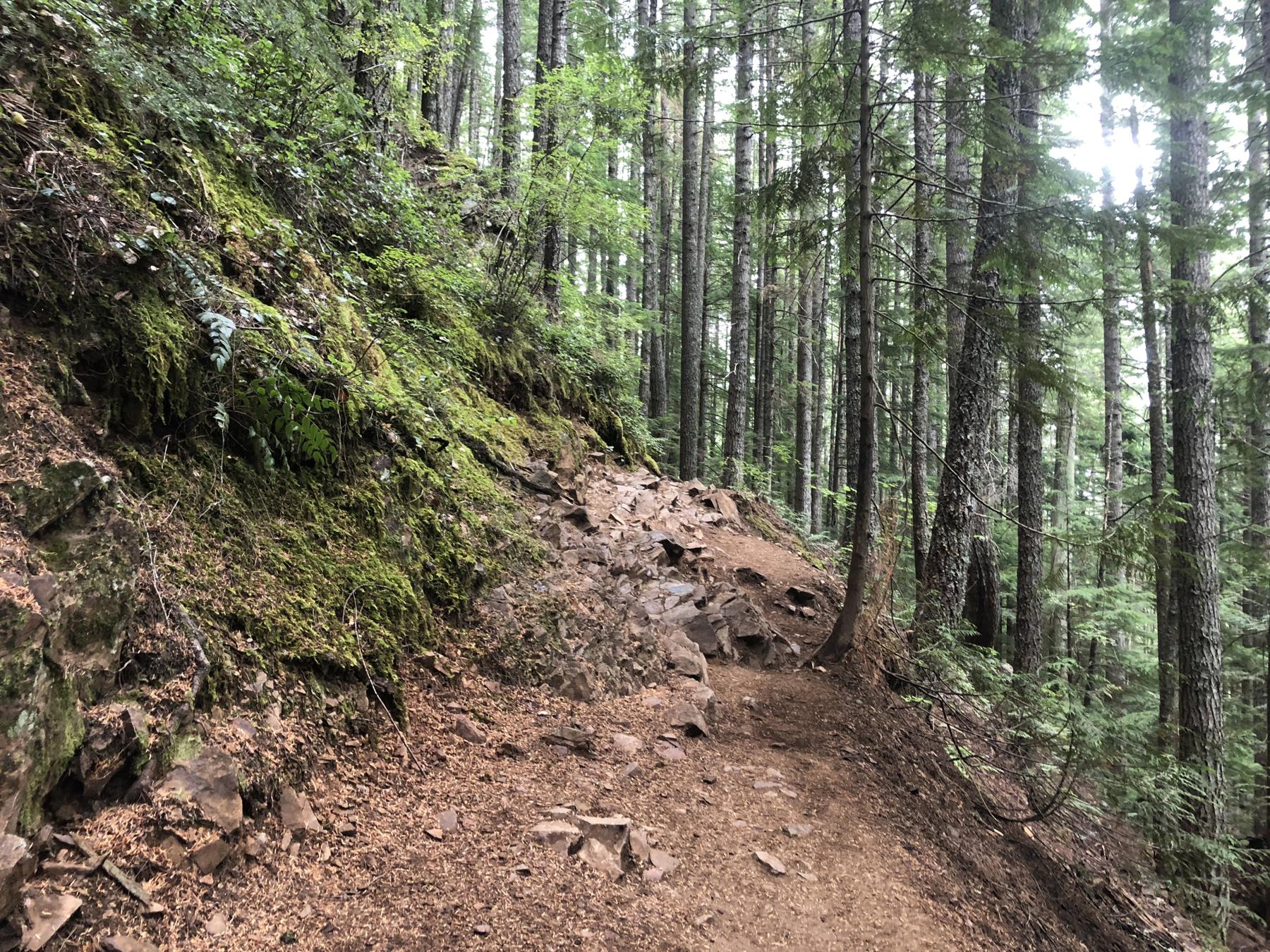 a trail section with packed rocks and dirt