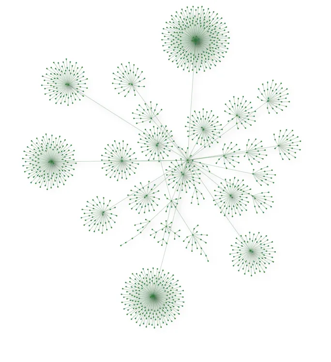 a more complex network graph