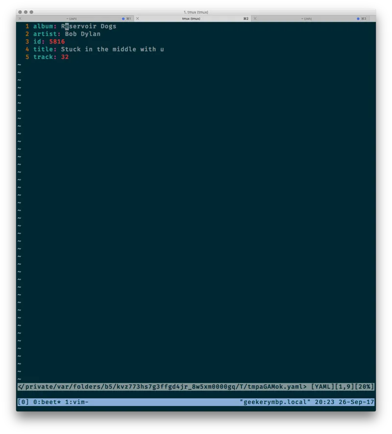 Editing a Beets entry in Vim