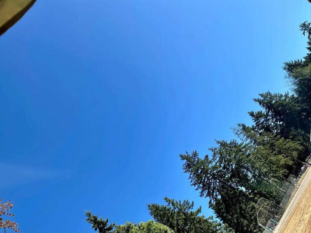 Off-kilter image of a clear sky