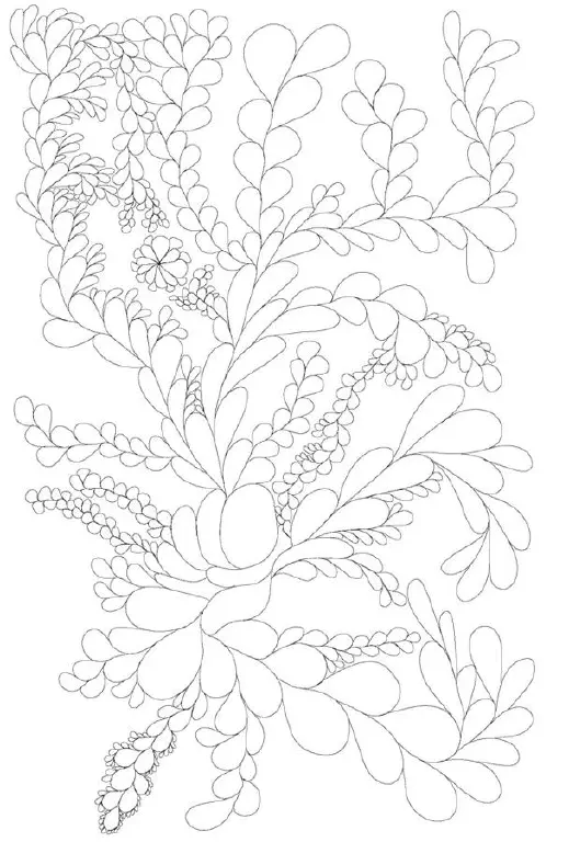 vaguely floral line drawing
