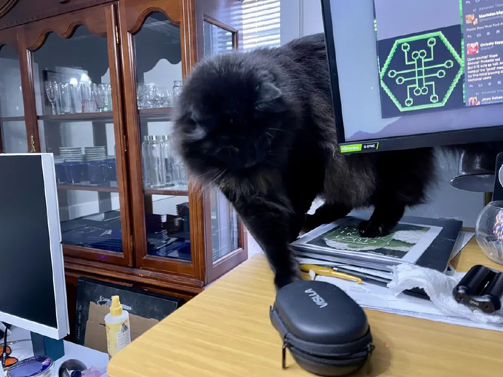 Black cat starts clearing items off of a desk from his vantage point behind the monitor