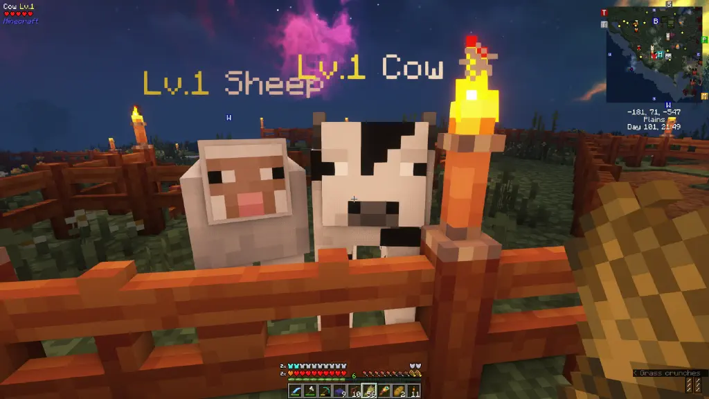 a minecraft cow and sheep, in a fenced-off area at night, staring at the player who is currently holding wheat