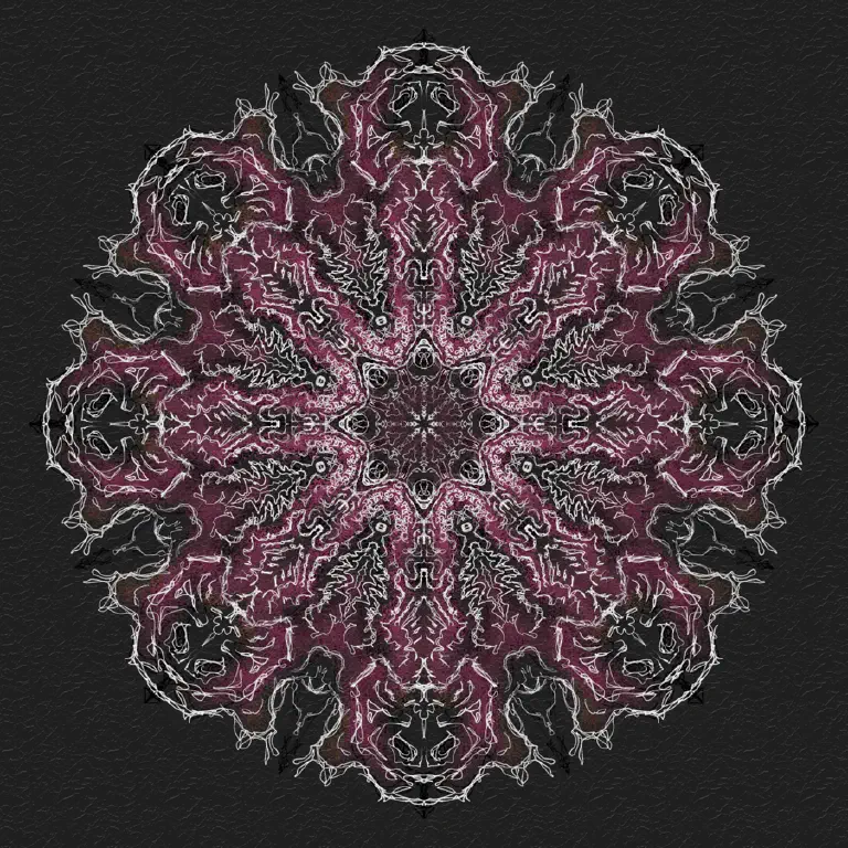 Roughly sketched kaleidoscopic image