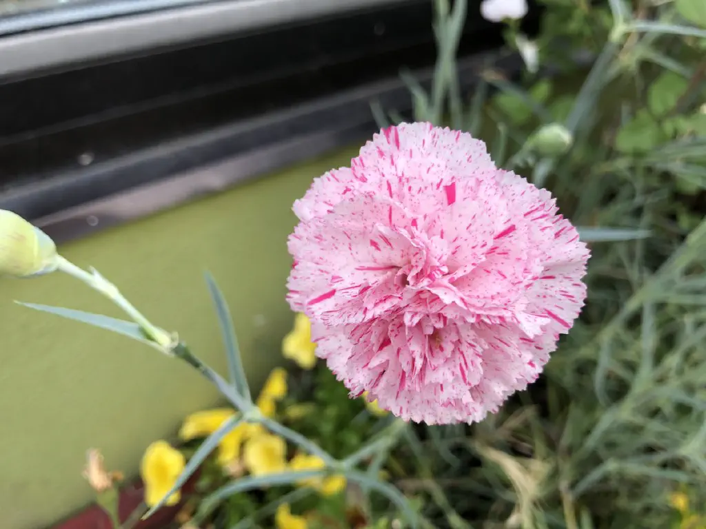 DedUIwNUwAARwc1.jpg