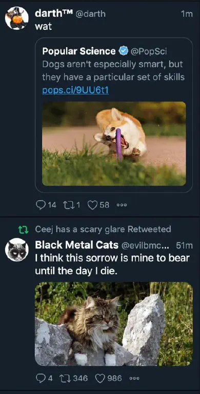 EHrlEaeUwAAslUG.jpg