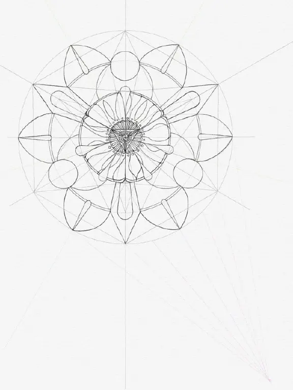 In progress radial symmetry drawing