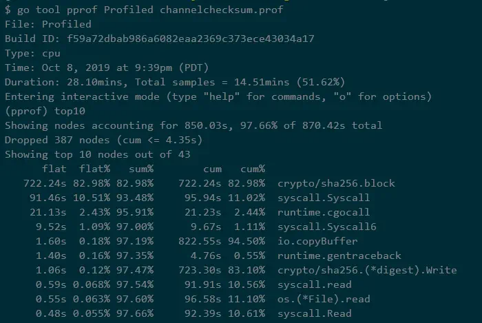 go pprof output showing 83% of time in crypto/sha256.block
