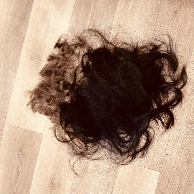 A big pile of hair on the floor, clearly from two different people