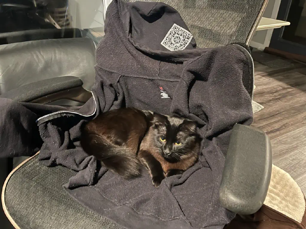 Black cat getting comfortable on office chair with black hoodie draped on it. 