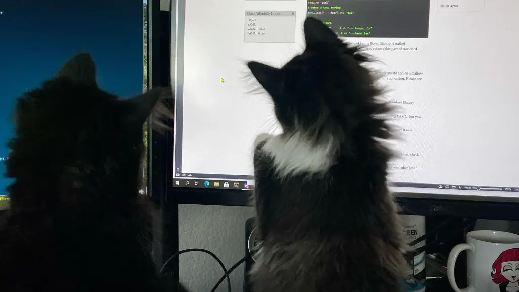 Kittens in mid-pounce, with their target being the mouse pointer on my desktop monitor.