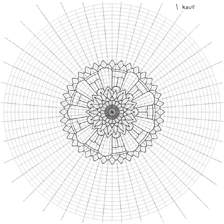 Early WIP radial symmetry drawing with some bits laid out, but the circle grid itself is most prominent