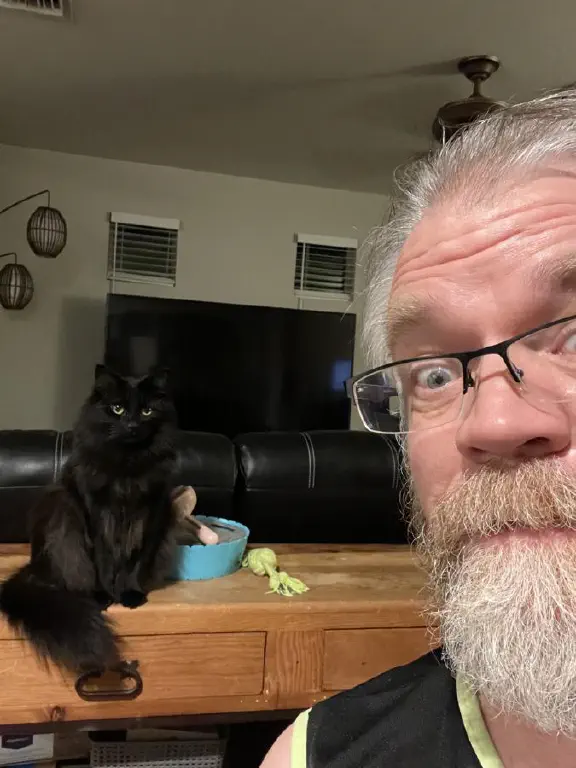 Beardy dude goofy selfie with mildly interested black cat looking on from nearby