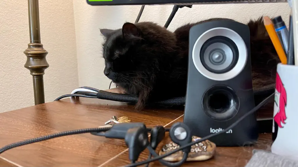 black cat looking happy and lightly napping on the desk, near a computer speaker
