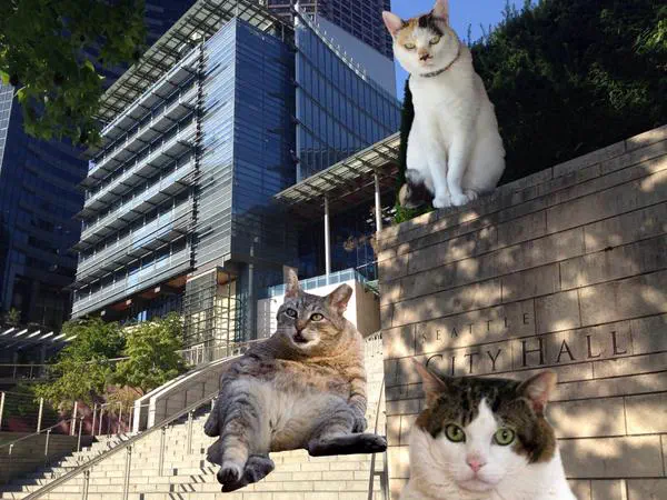 Bsl5tgaCIAASwBI.jpg