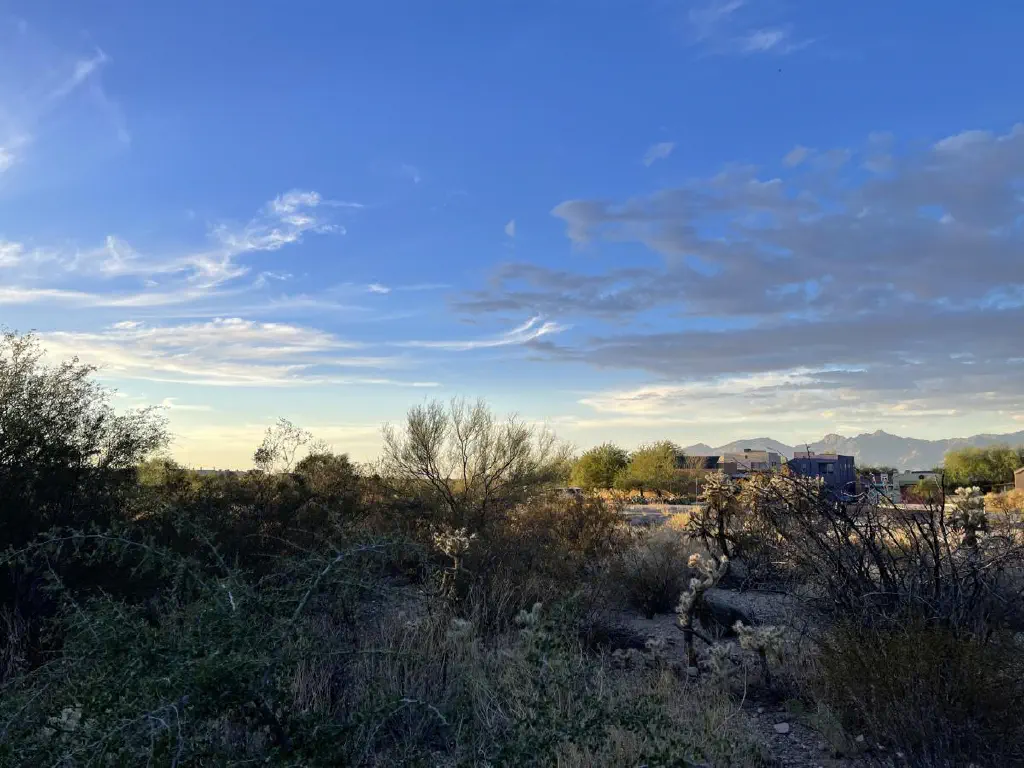 Desert skyline with contrasting light clouds to the left and dark clouds to the right