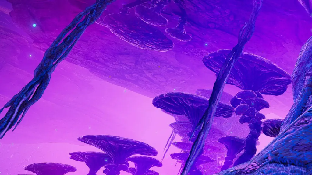 a mushroom forest