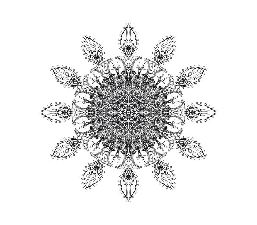 Radial symmetry line drawing