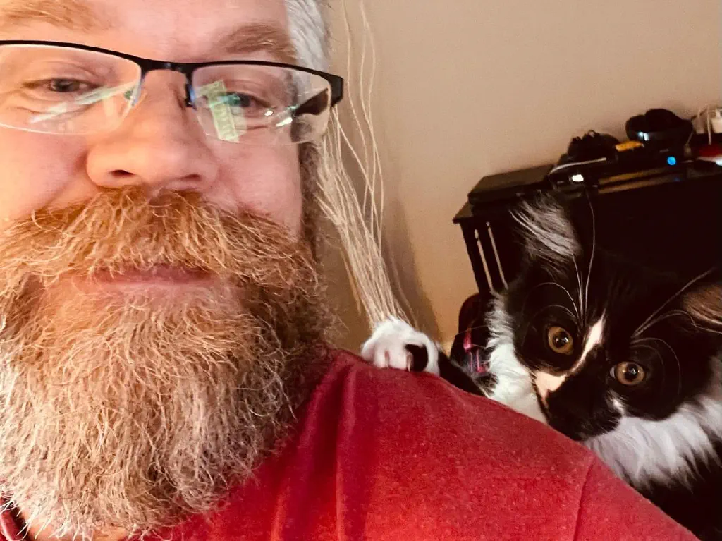 Kitten resting behind my shoulder while I sit.