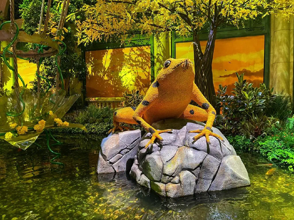 Yellow frog sculpture spraying water from a rock in a pool