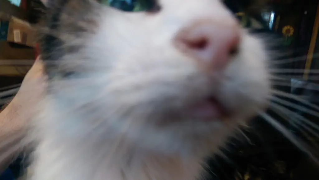 B5fbv_lCIAAdV_H.jpg
