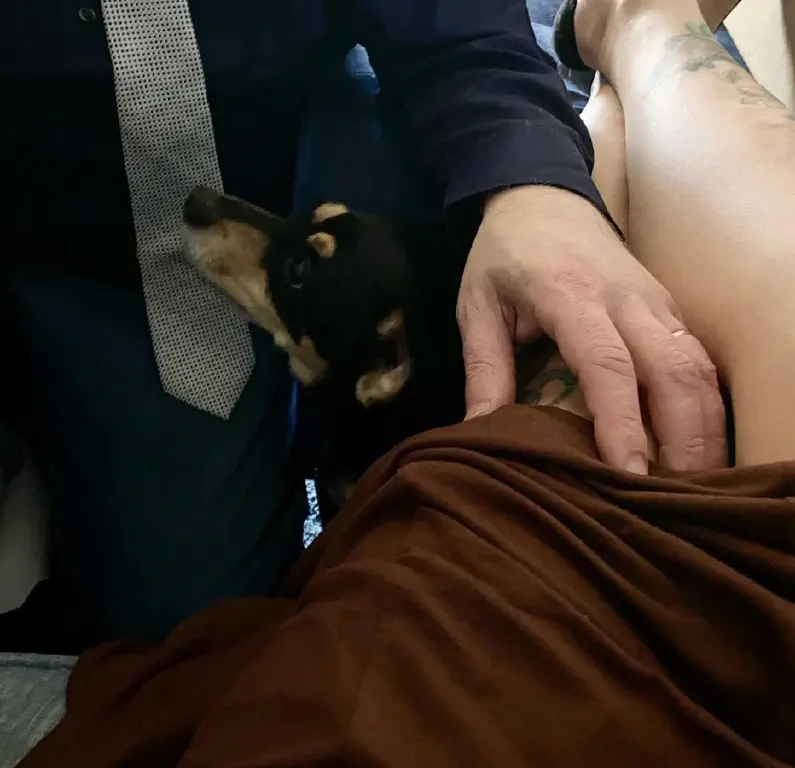 There’s a hand. On someone else’s thigh. Under the arm of the hand on the thigh, a small dog has wedged herself hoping to get some of this affection going around.