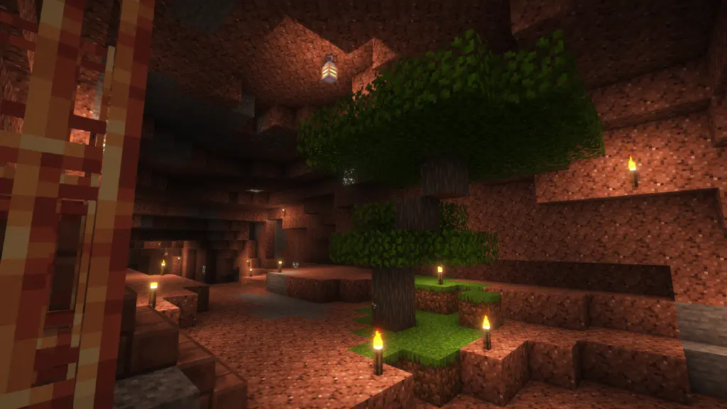 An acacia tree growing on a patch of dirt in a well-lit granite cave