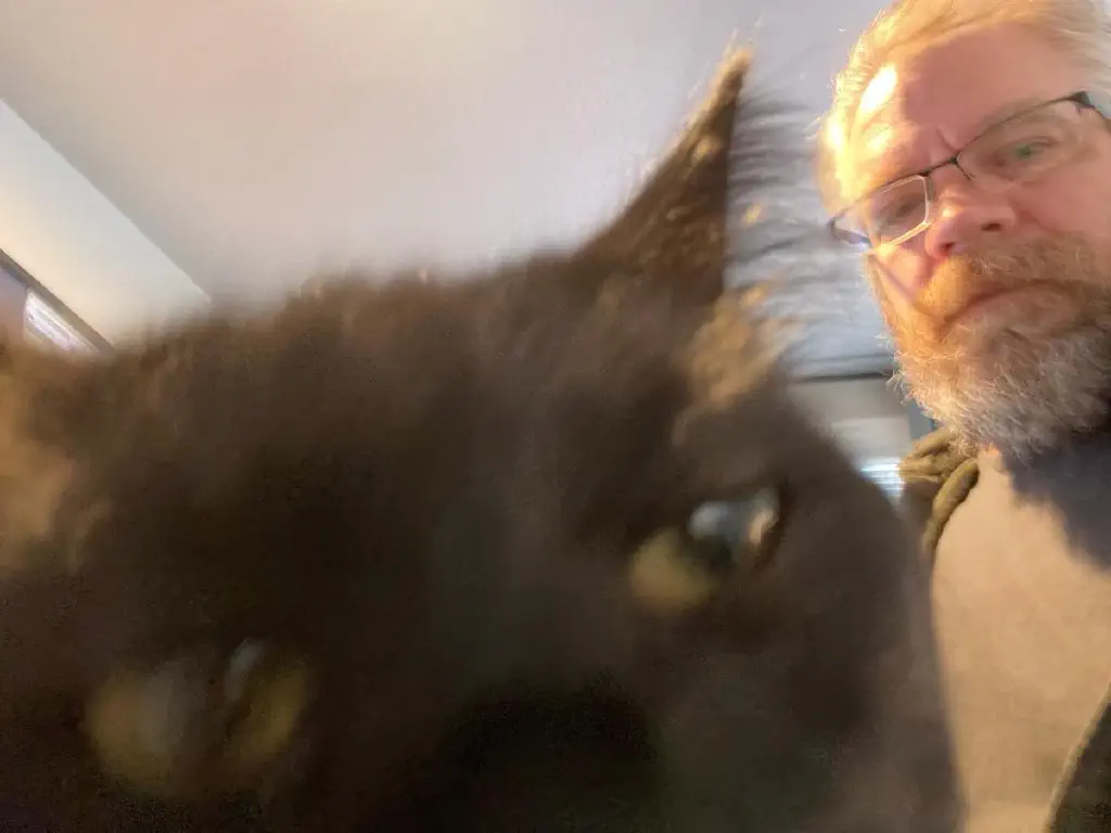 Black kitty rubbing up on my phone camera 