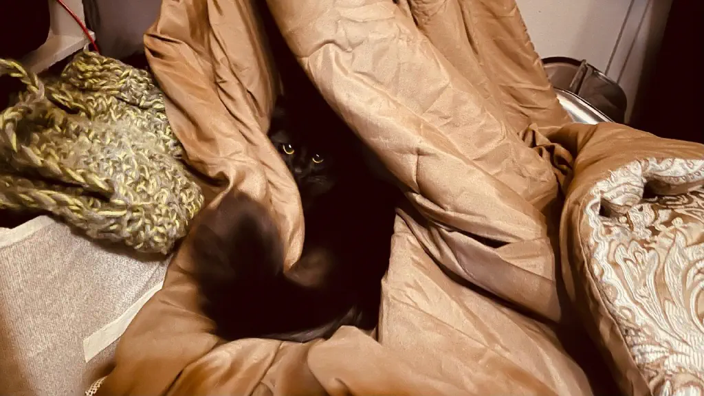 Black cat deeply nestled in a thick soft warm comforter, next to some yarn