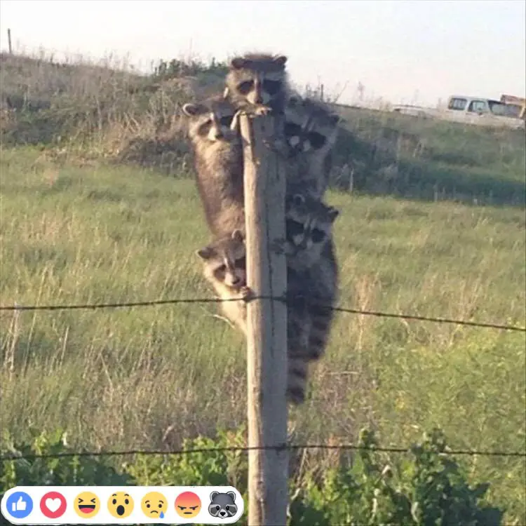 CzaL6GBUkAAG4DV.jpg