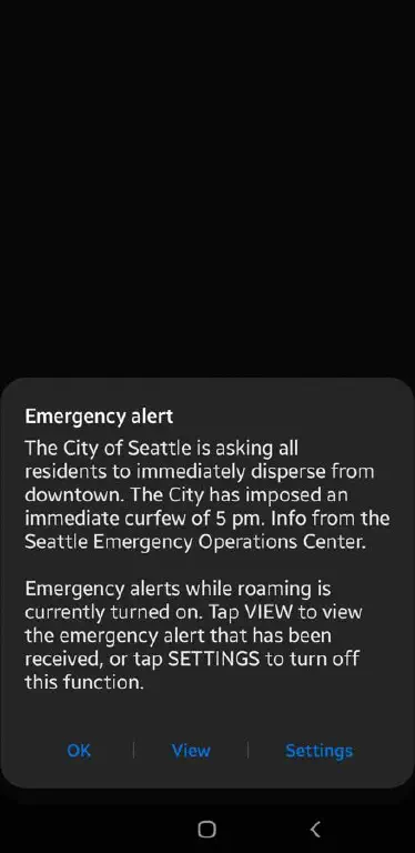 City of Seattle declaring immediate emergency curfew