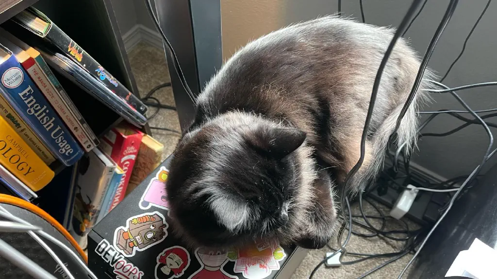 Black cat curled up comfortably on a sticker-covered PC tower. 