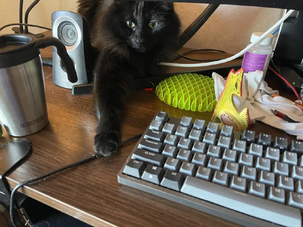 Black cat on desk behind monitor, looking for distractions; its outstretched paw rests on a keyboard’s connecting cable
