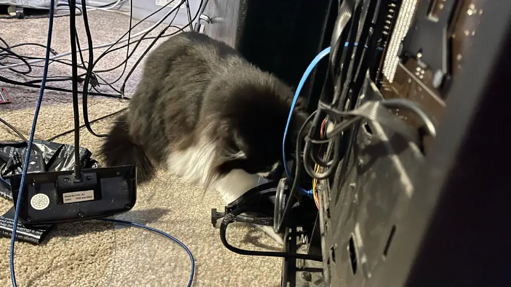 A cat reaches under the PC case, intently focused