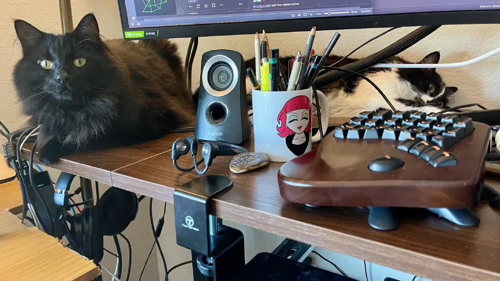 black cat perched on a cluttered computer desk, looking with interest at the camera