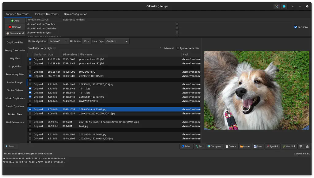 A grouped listing of similar images, with the currently selected image — a happy Sheltie dog — displayed on the side.