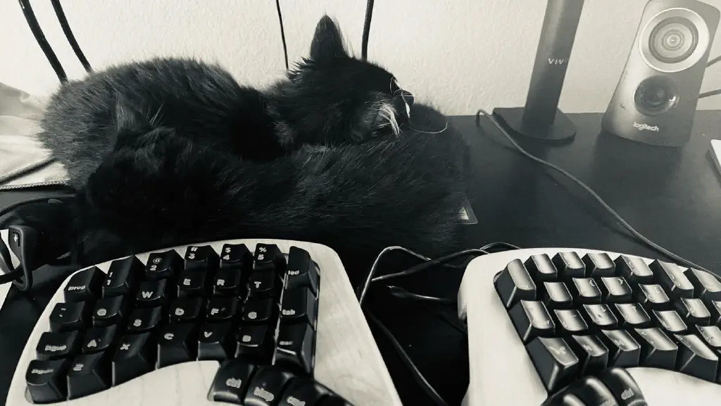 Dramatic black and white image of kittens snuggled together in front of a fancy ergonomic keyboard