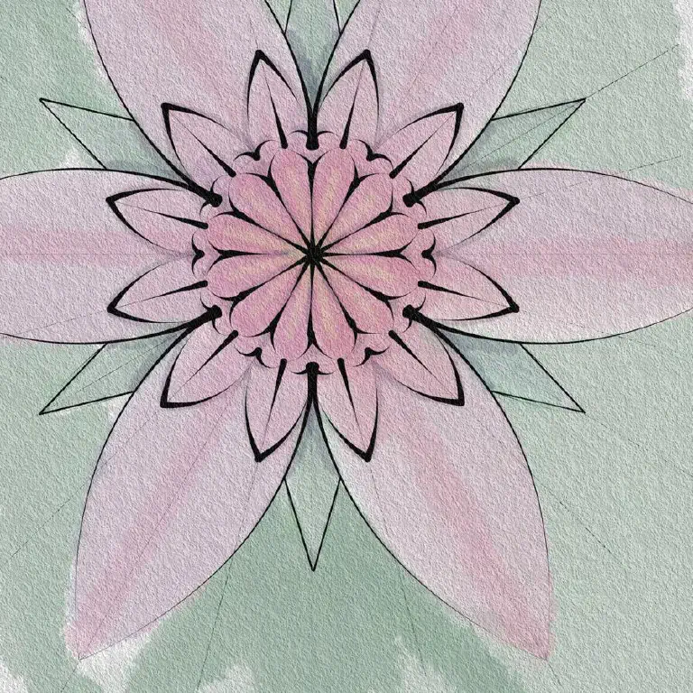 Floral symmetry drawing
