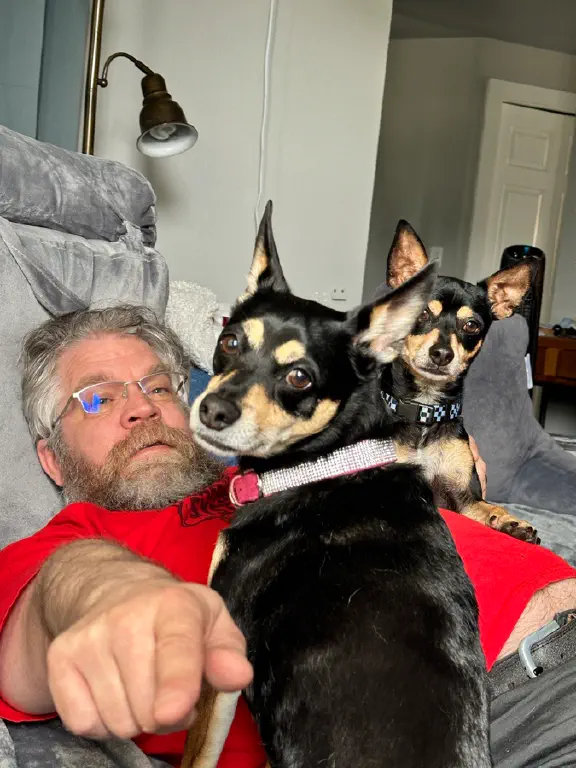 Beardy dude in glasses points at the camera while two chihuahua mix dogs pause from play-wrestling him to the couch. All three look at the camera