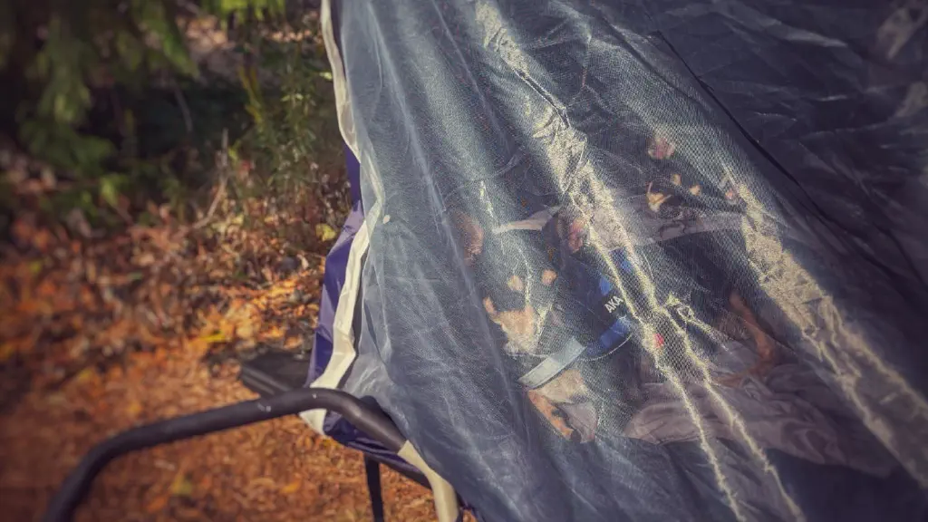 Stylized photo with two chihuahua mix dogs comfortably napping behind a tent screen