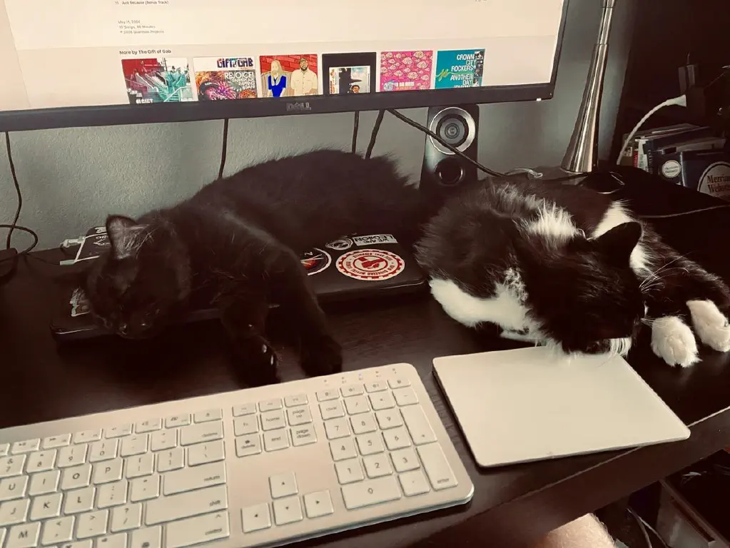 Kittens sleeping on my laptop while the monitor shows Gift of Gab is playing
