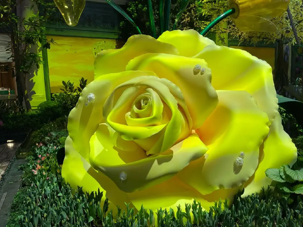 Giant yellow rose sculpture. It has dewdrops, each of which contain a life-sized bloom