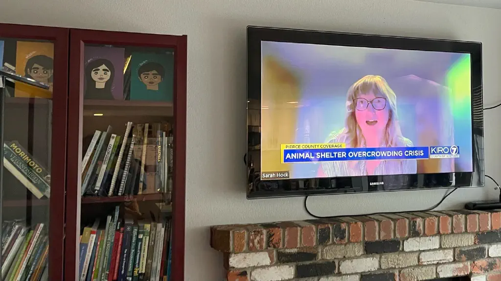 TV next to a bookshelf. TV chyron reads “animal shelter overcrowding crisis”