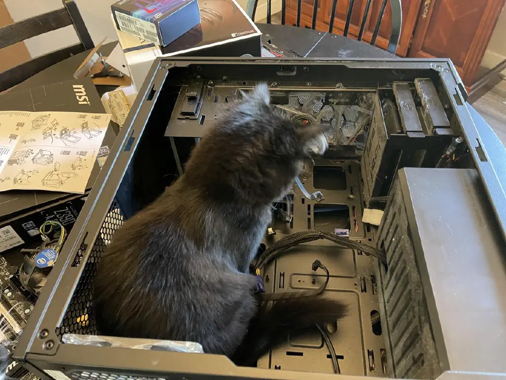 Adolescent black act examining an open PC tower case from the inside