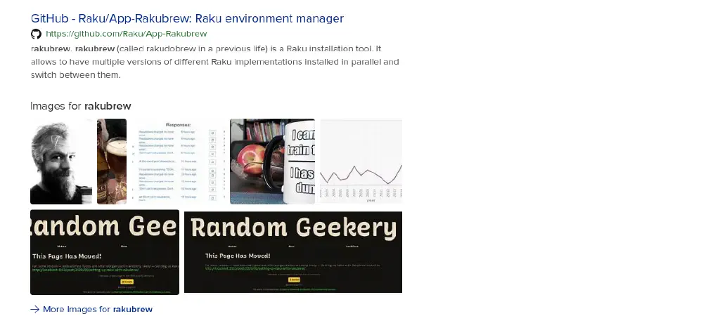 Cropped DuckDuckGo search for “rakubrew” shows images from my blog under “images for rakubrew”