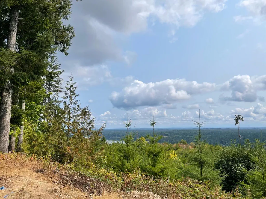 Trees and cloudy blue sky with a sliver of a river visible