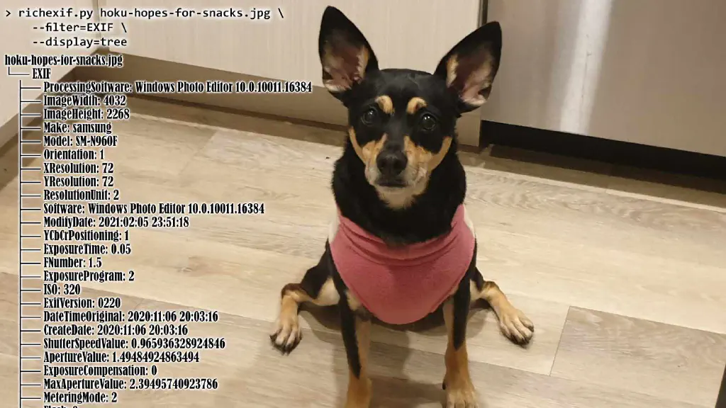 Hoku hopes for scraps