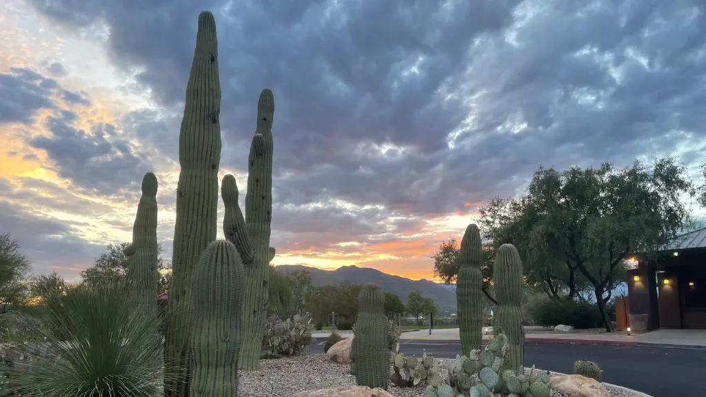 More clouds lit from below, with cacti in the foreground