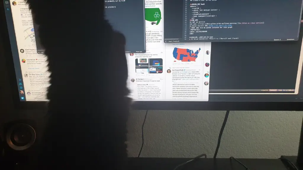 Counter monitor obscured by kitten pouncing something on screen. 