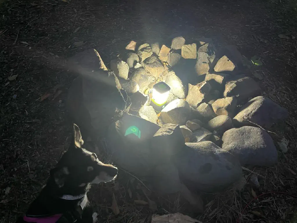 Battery powered light very bright, in a fire pit; foreground shows a dog in high contrast. 